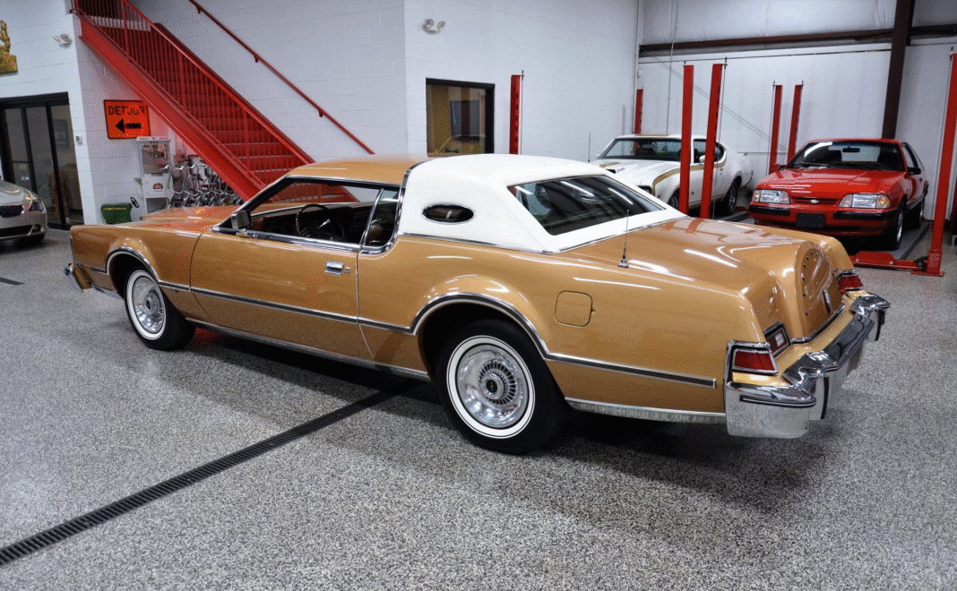 image_2025-11-19_092526766