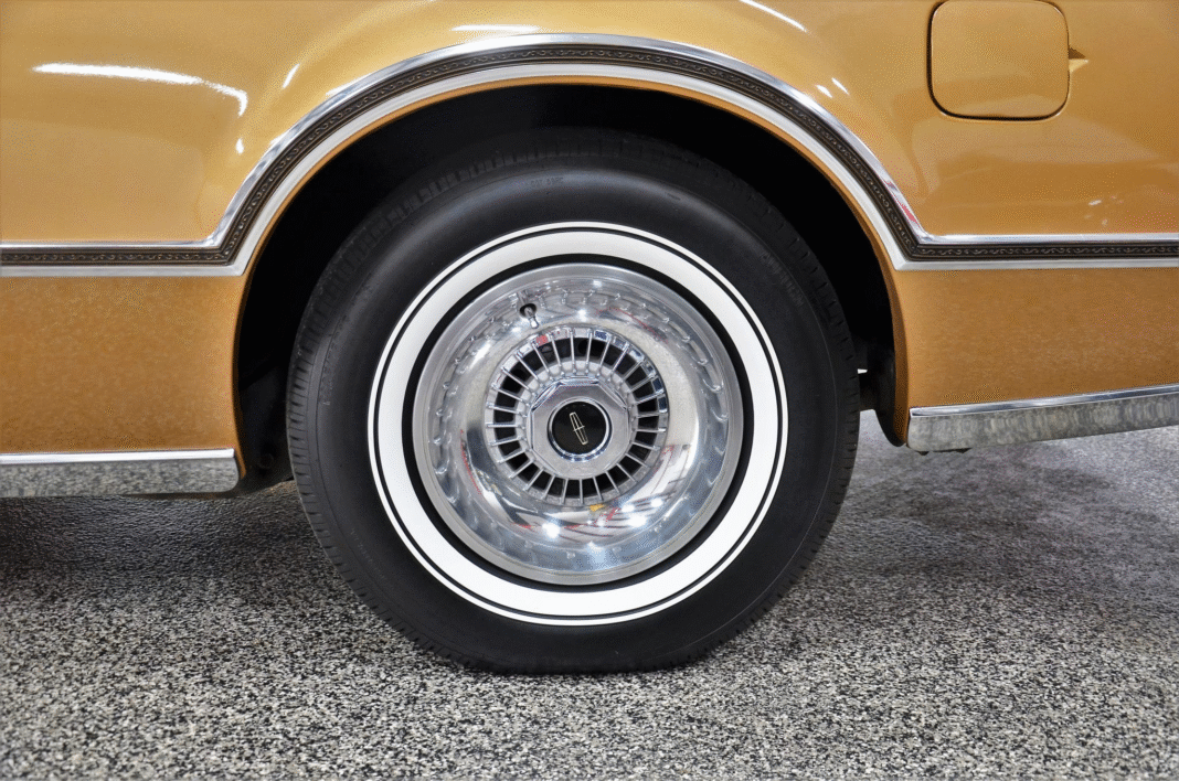 image_2025-11-19_092557667