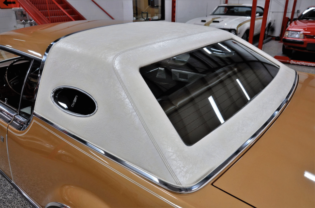 image_2025-11-19_092603042