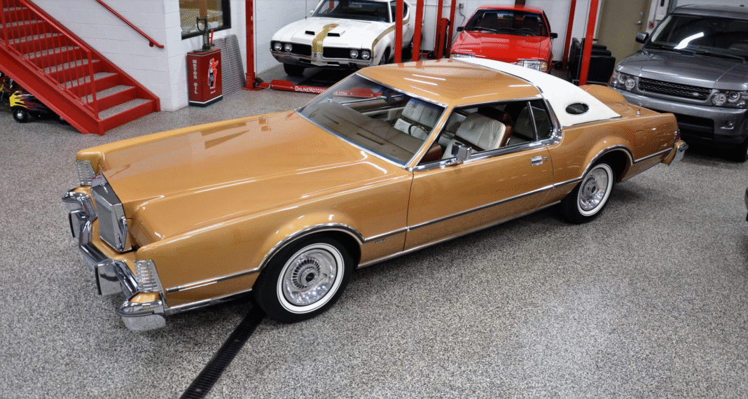 image_2025-11-19_092624411