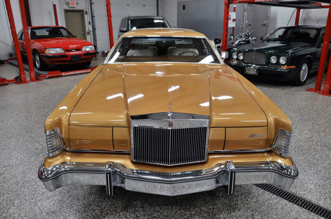 image_2025-11-19_092646743