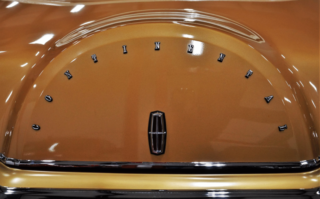 image_2025-11-19_092701835