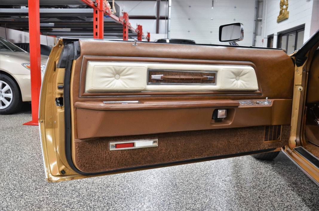 image_2025-11-19_092709760