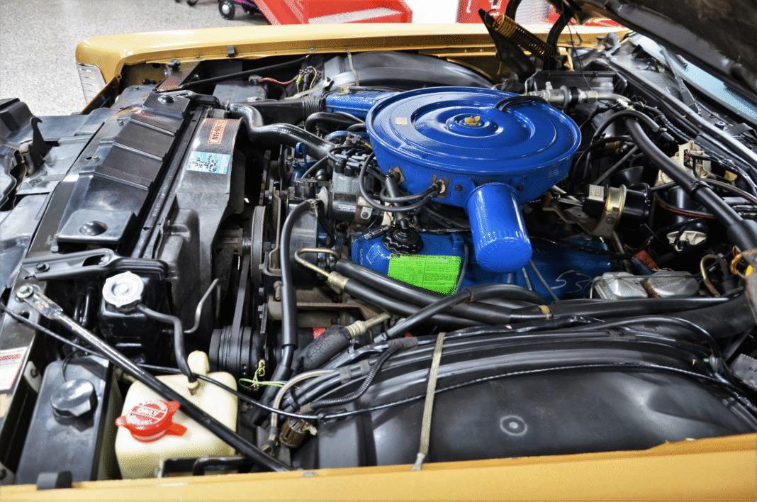 image_2025-11-19_092805282