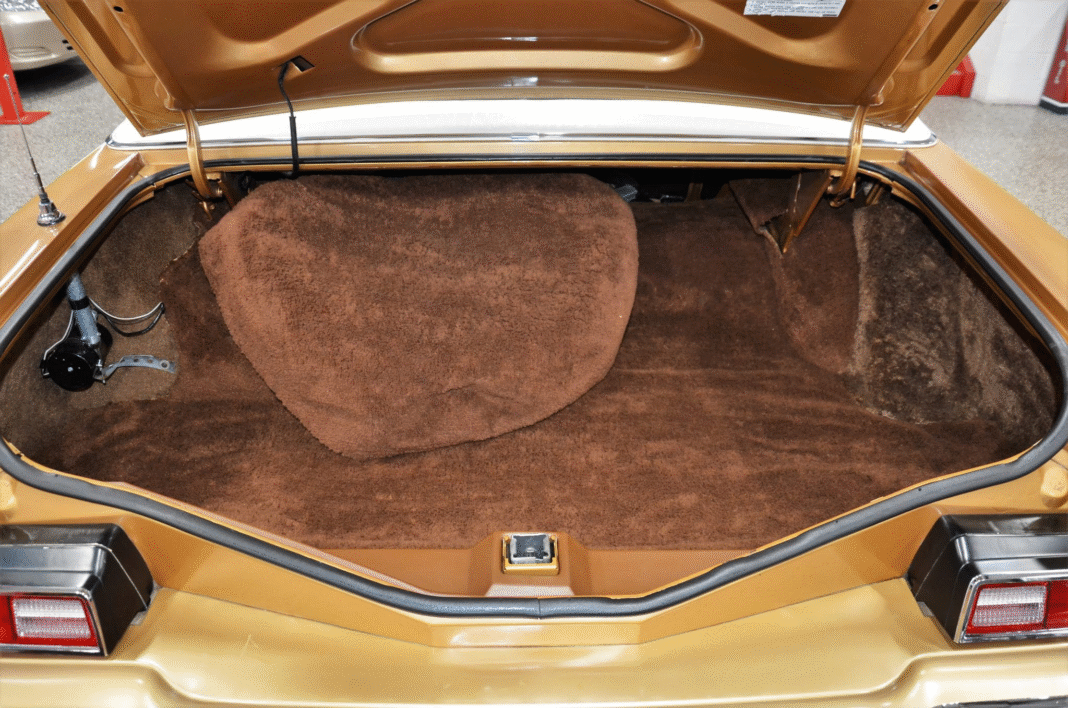 image_2025-11-19_092813194